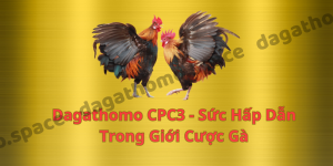 Dagathomo CPC3 - Sức Hút Hấp Dẫn Trong Giới Cược Gà